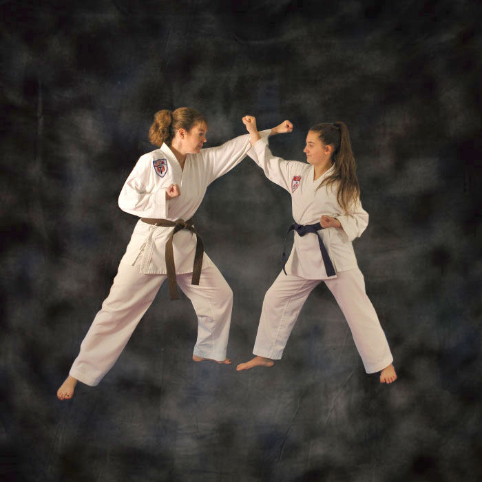Adult taekwondo program